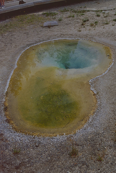 20000801   Yellowstone 040